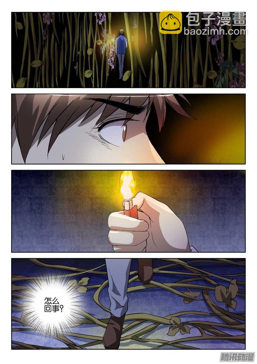 第276回 紫藤走廊-第276话