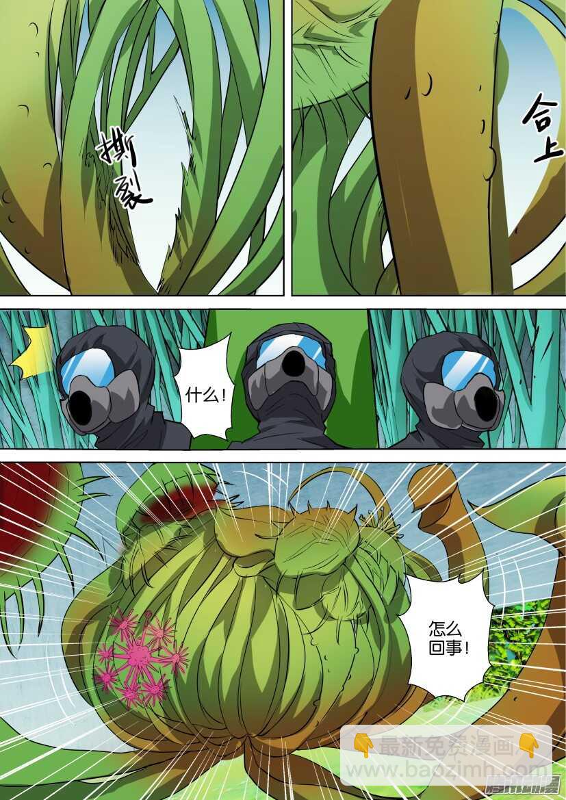第312回 植物打墙-第312话