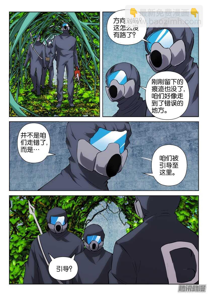 第312回 植物打墙-第312话