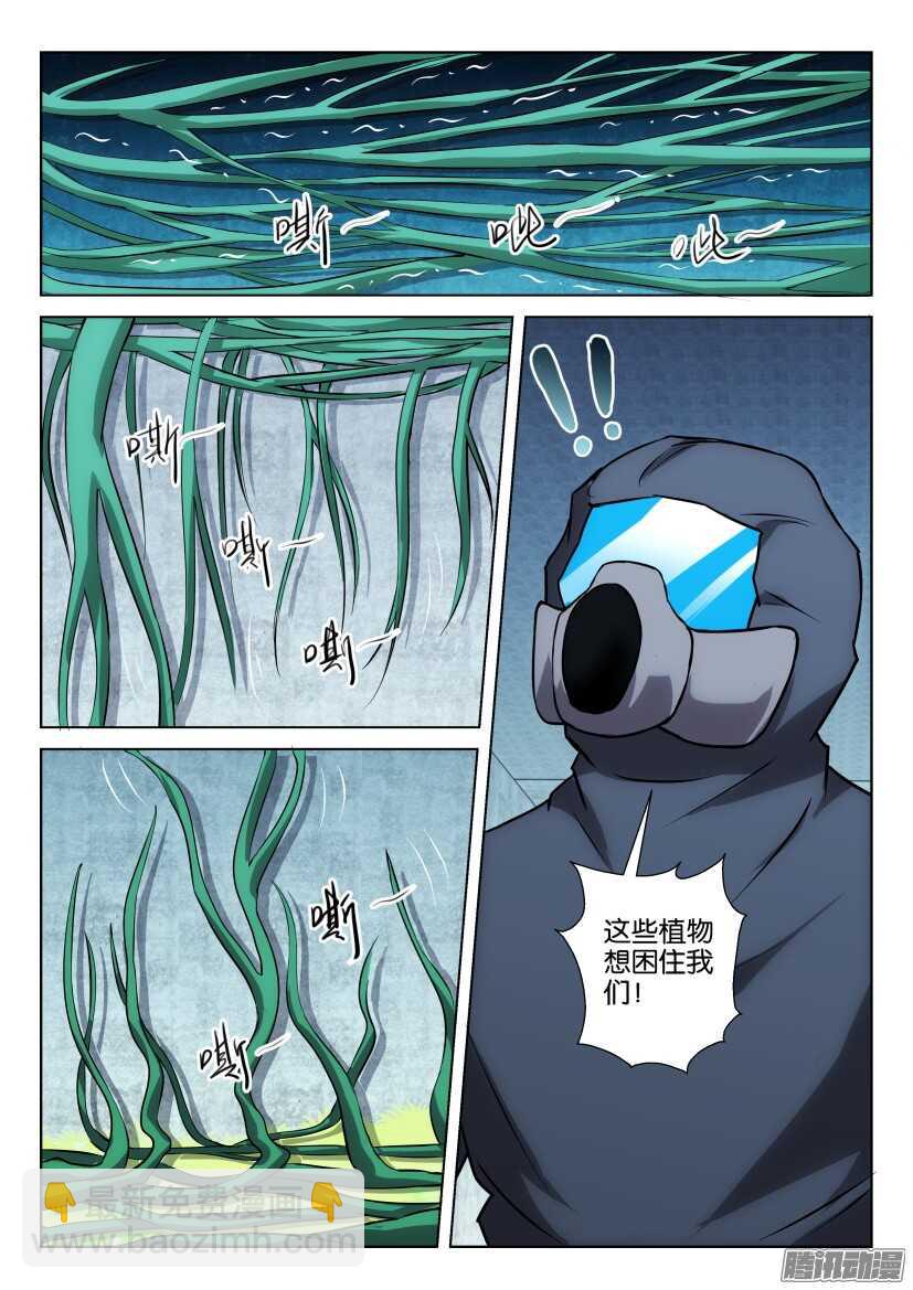 第312回 植物打墙-第312话