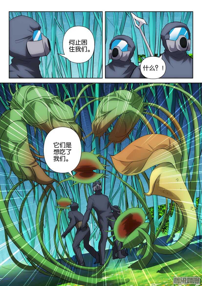 第312回 植物打墙-第312话