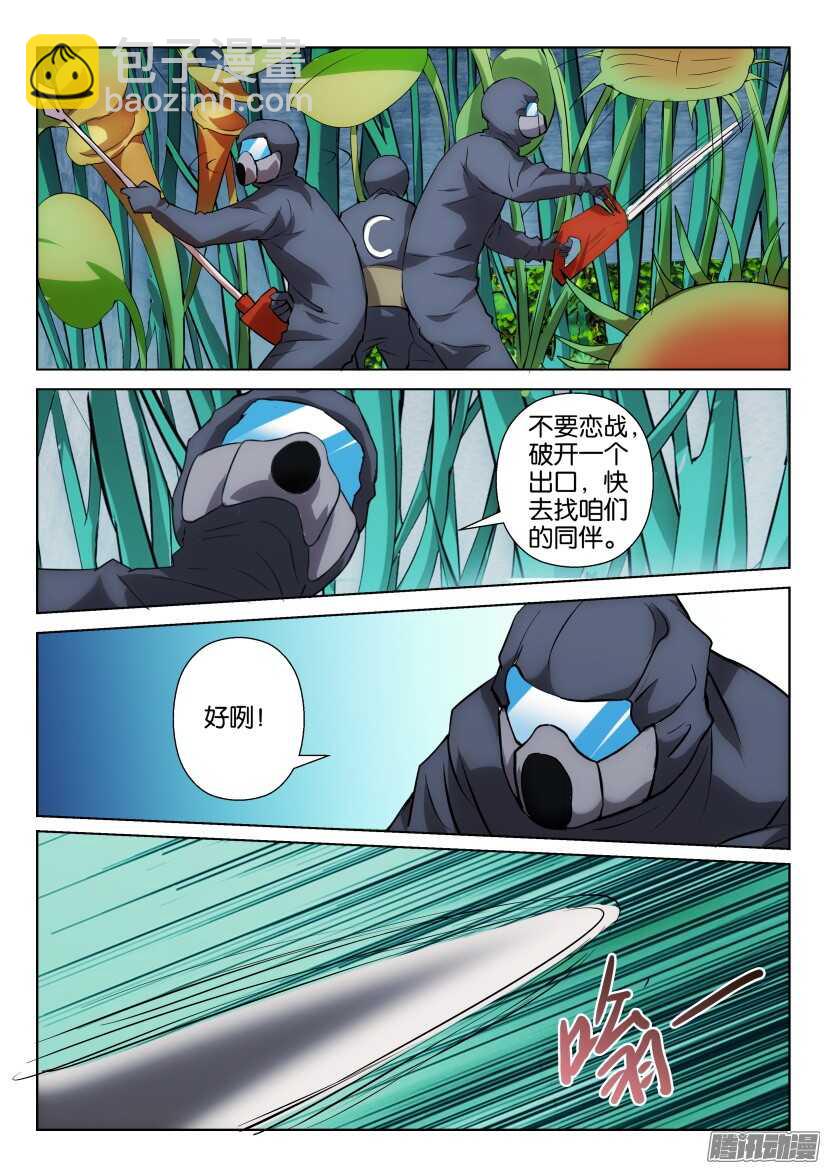 第312回 植物打墙-第312话