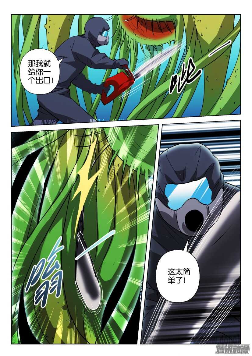 第312回 植物打墙-第312话