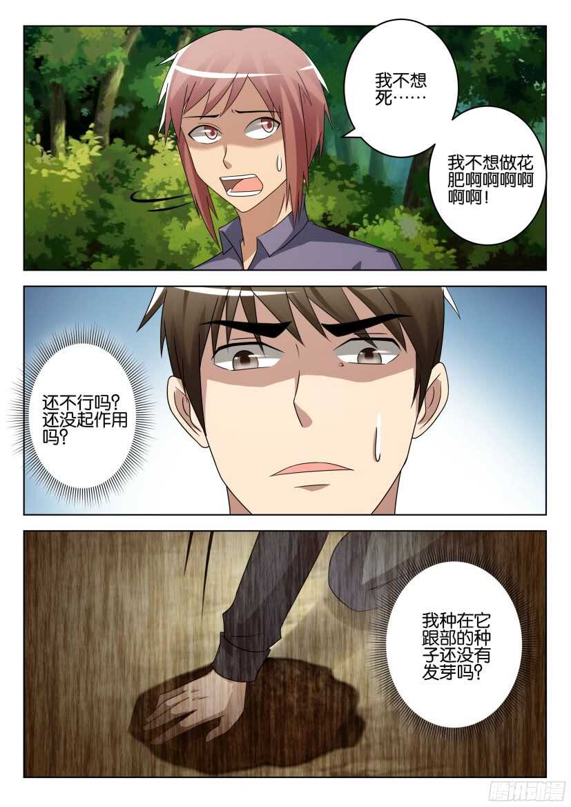 第506回 珍珠吊兰的蔓延-第506话