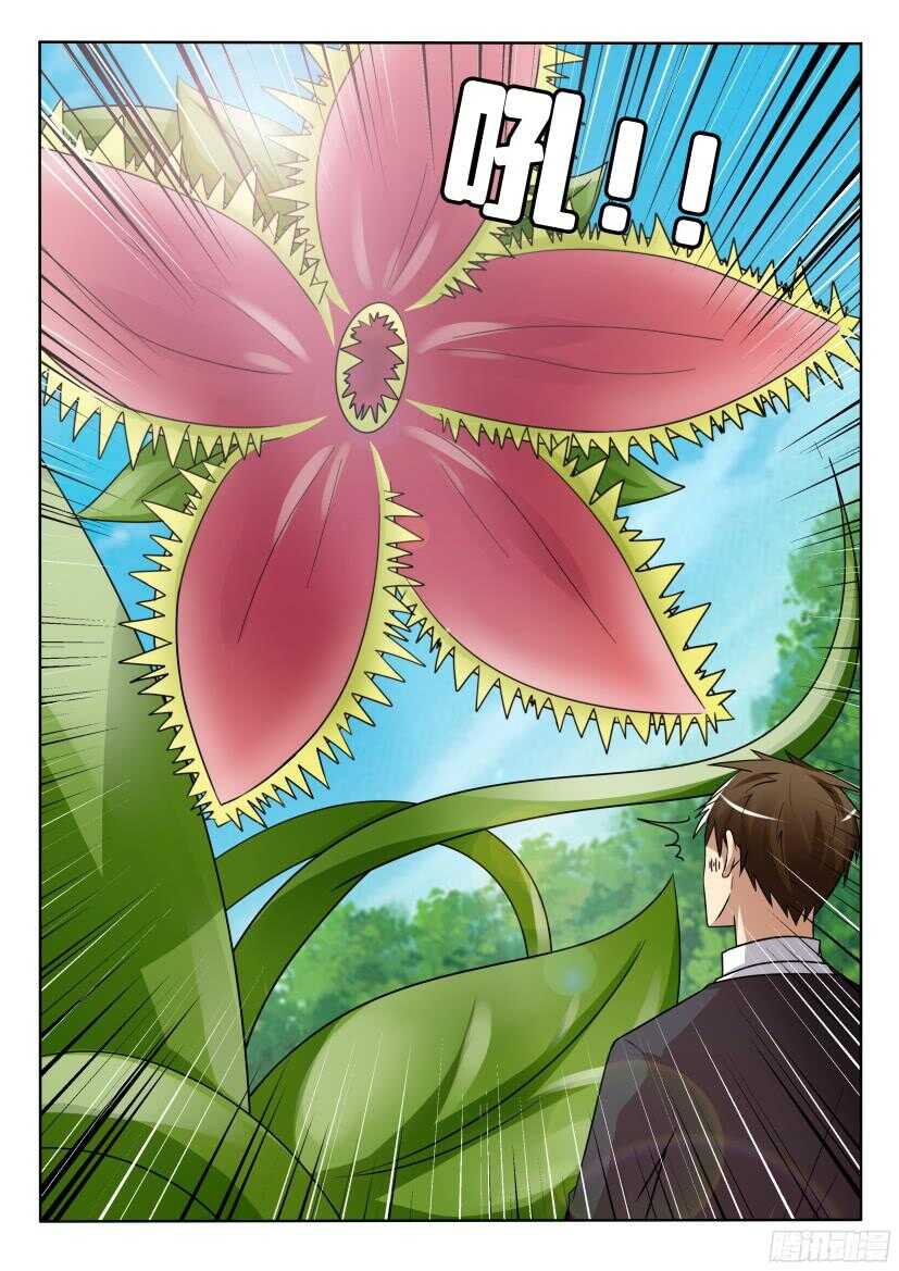 第506回 珍珠吊兰的蔓延-第506话
