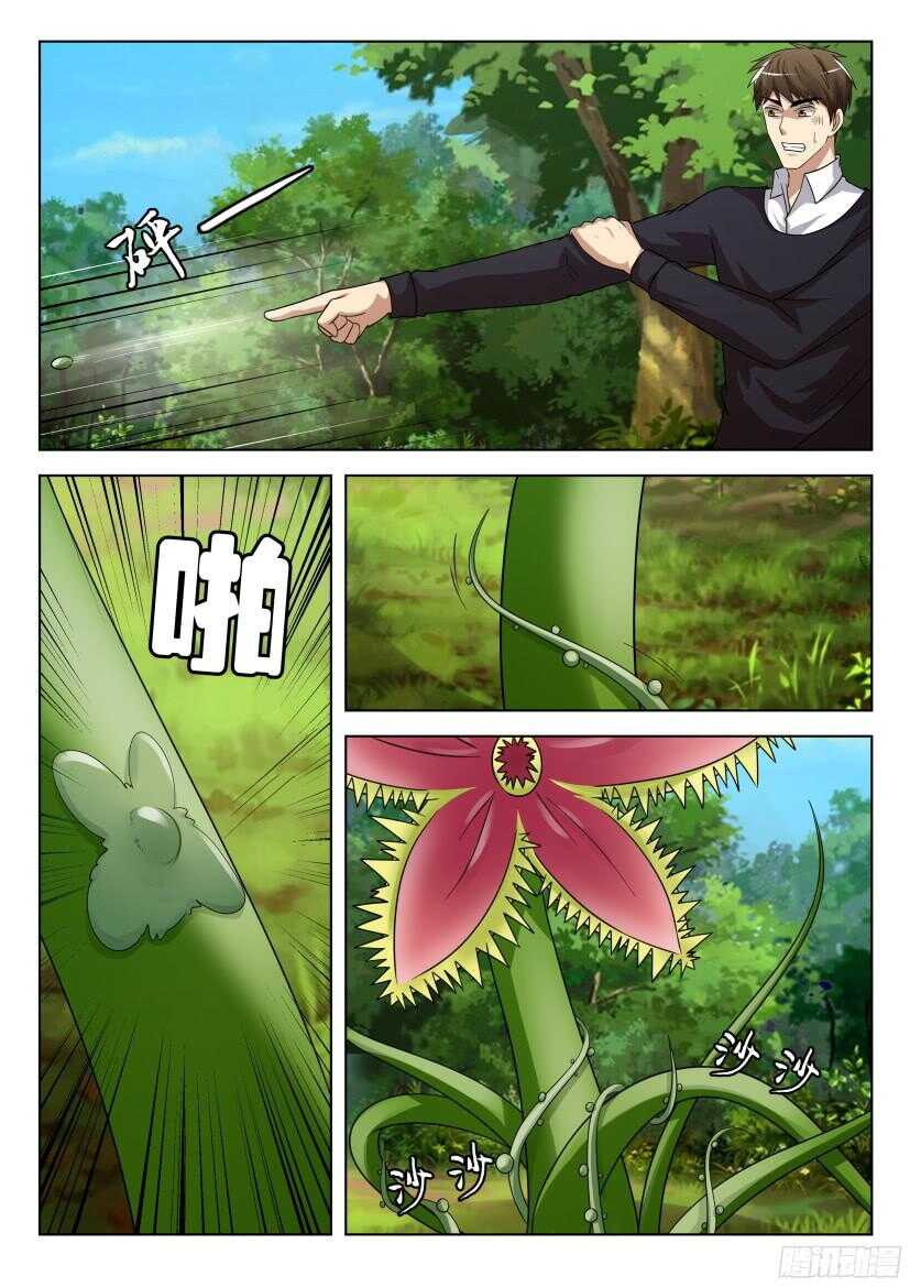 第506回 珍珠吊兰的蔓延-第506话