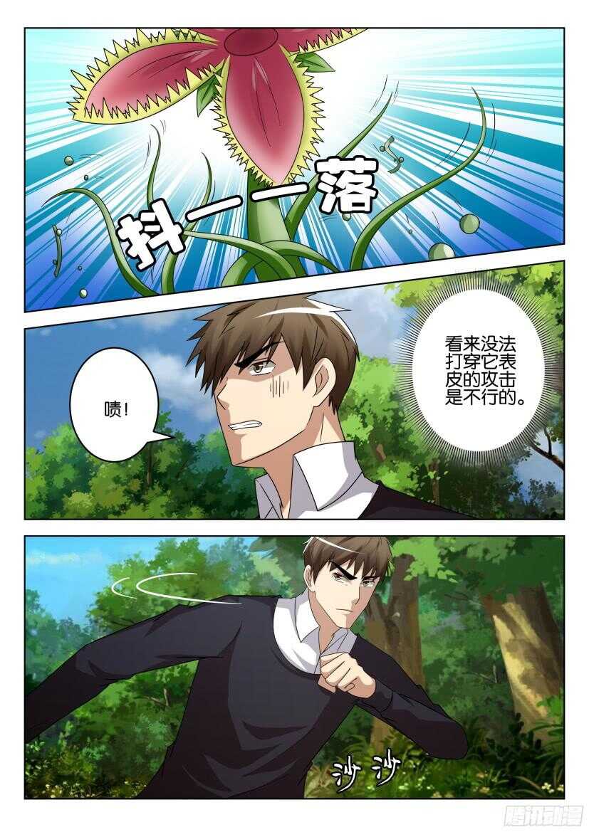 第506回 珍珠吊兰的蔓延-第506话