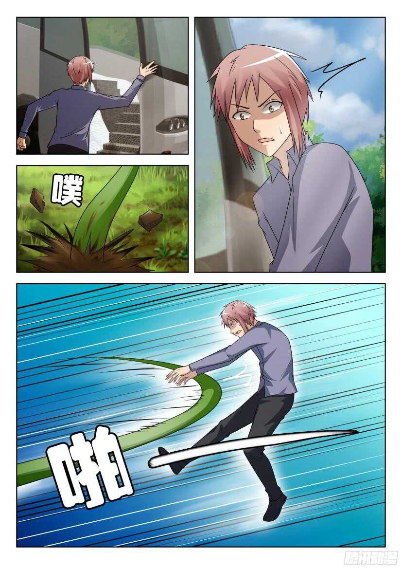 第506回 珍珠吊兰的蔓延-第506话