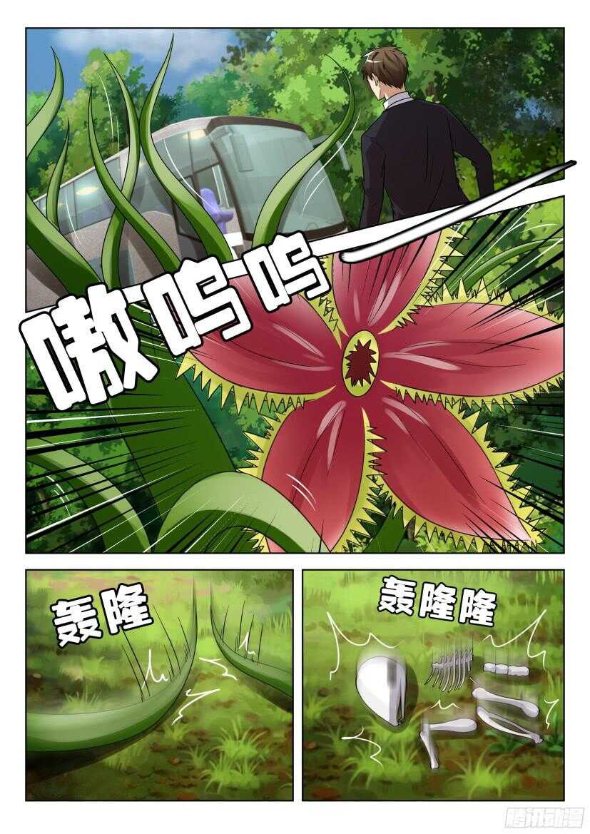 第506回 珍珠吊兰的蔓延-第506话