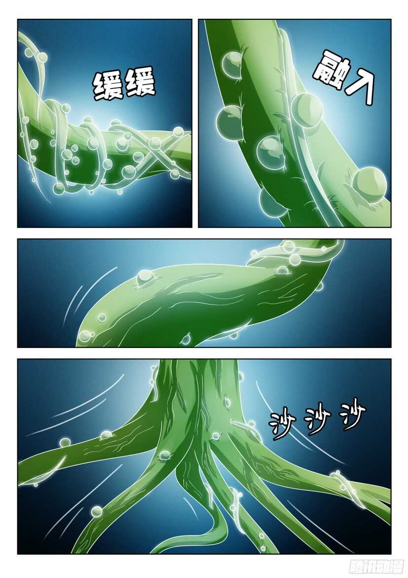 第506回 珍珠吊兰的蔓延-第506话
