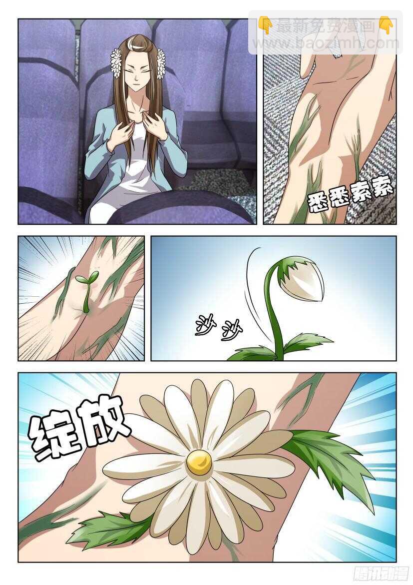 第510回 雏菊巴士-第510话