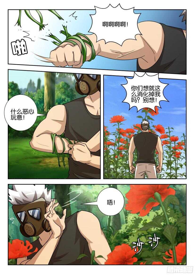 第526回 花墙-第526话