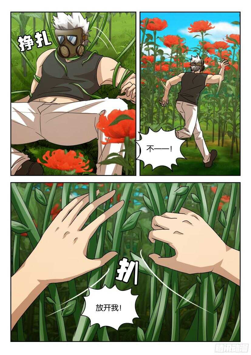第526回 花墙-第526话