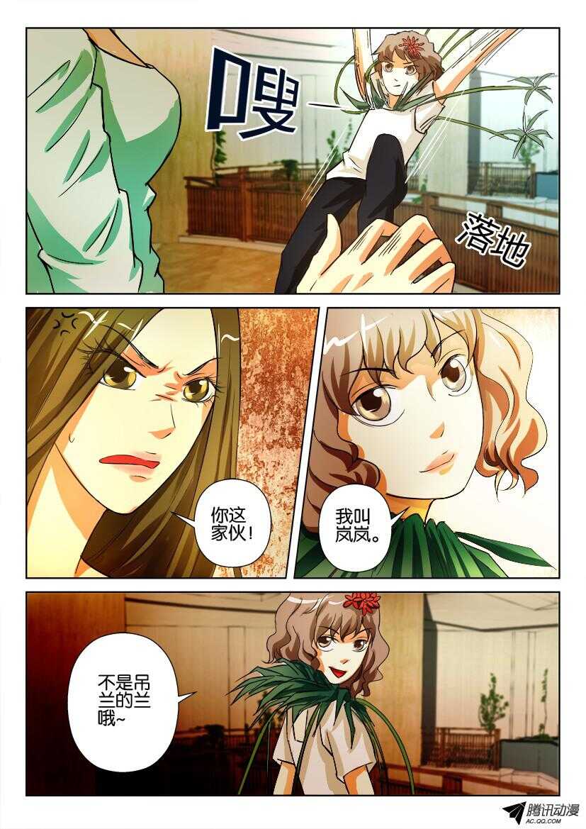 第一百回 吊兰的岚-第100话
