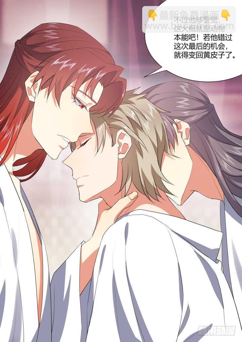 第203话 第82章 请君入瓮（上）-第202话