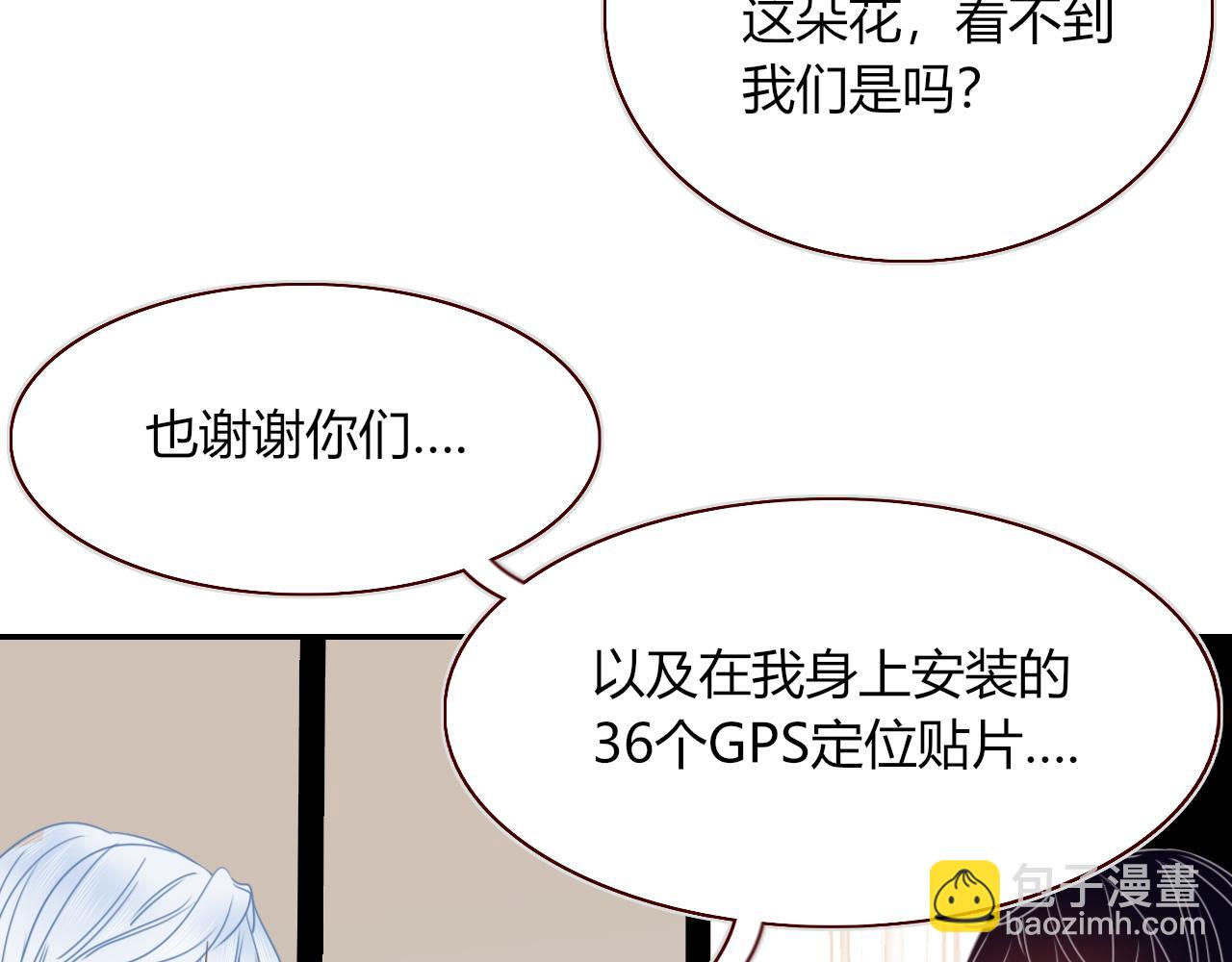 第34话  可爱小淑女(1/2)-第36话