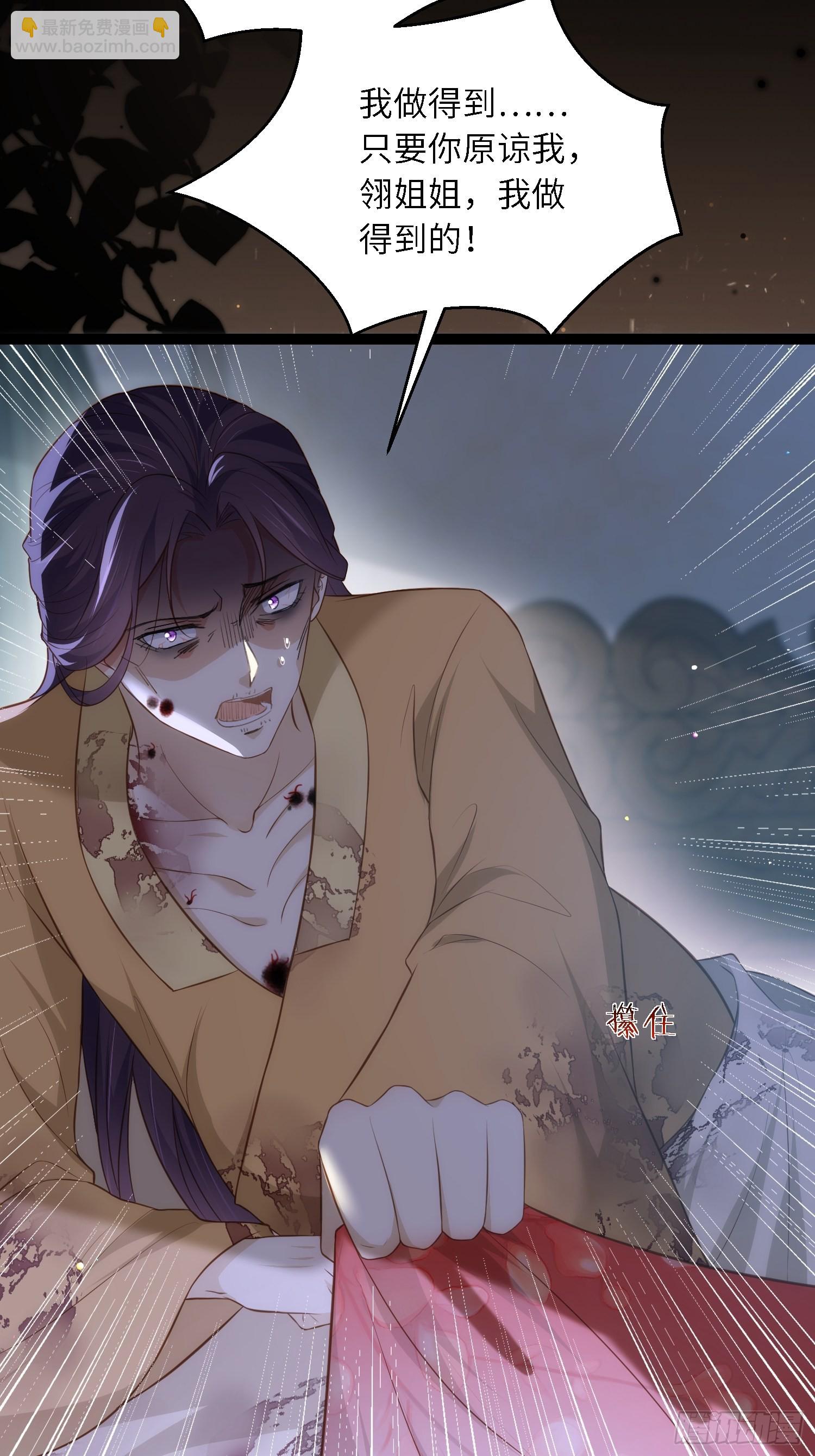 🍹宦妃天下（太监王爷强娶我） 第286话 翎姐姐回来了 第28页
