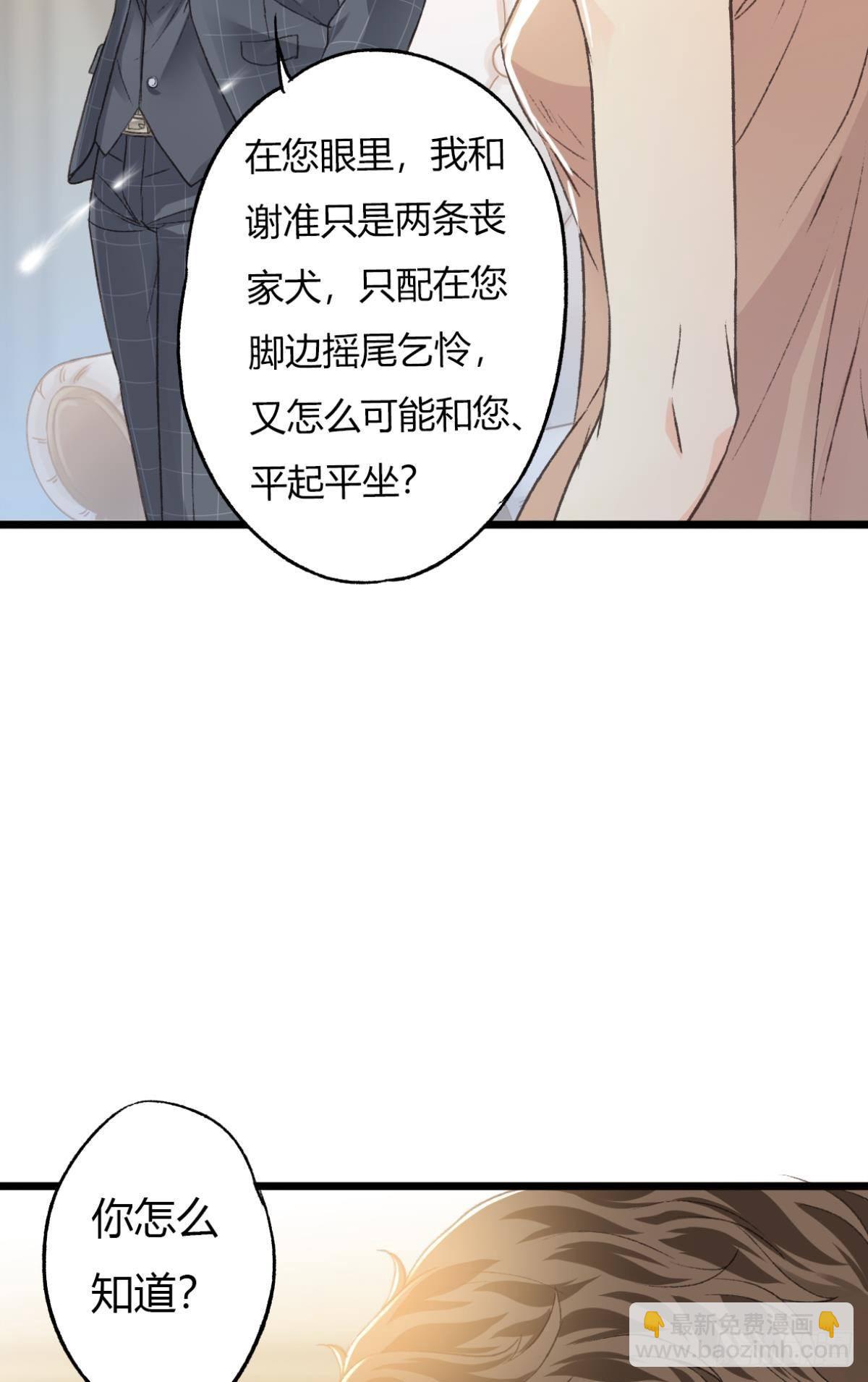 小猫死而复生？(1/2)-第64话