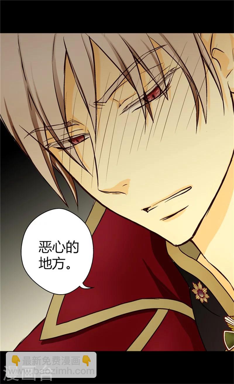 🍹皇帝的独生女 第19话 一览御花园 第8页