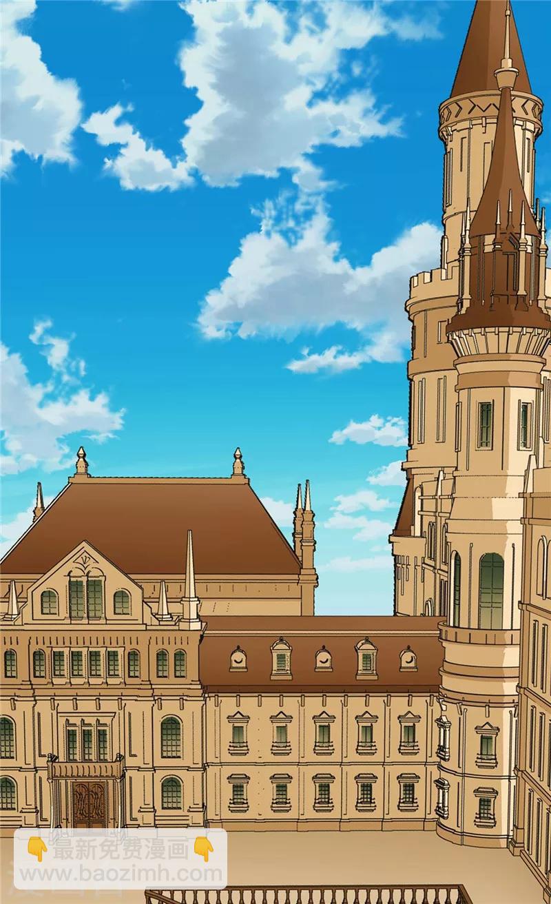 🍹皇帝的独生女 第273话 有能力没野心的费尔德 第17页