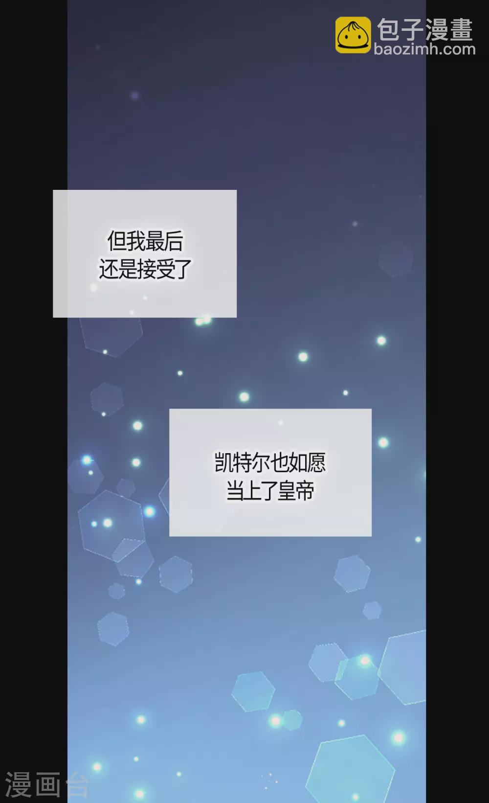 🍹皇帝的独生女 第413话 皇帝和宰相，凯特尔和费尔德 第12页