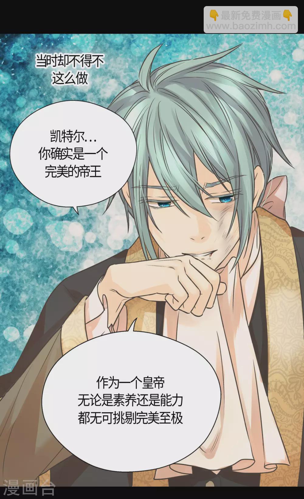 🍹皇帝的独生女 第413话 皇帝和宰相，凯特尔和费尔德 第20页