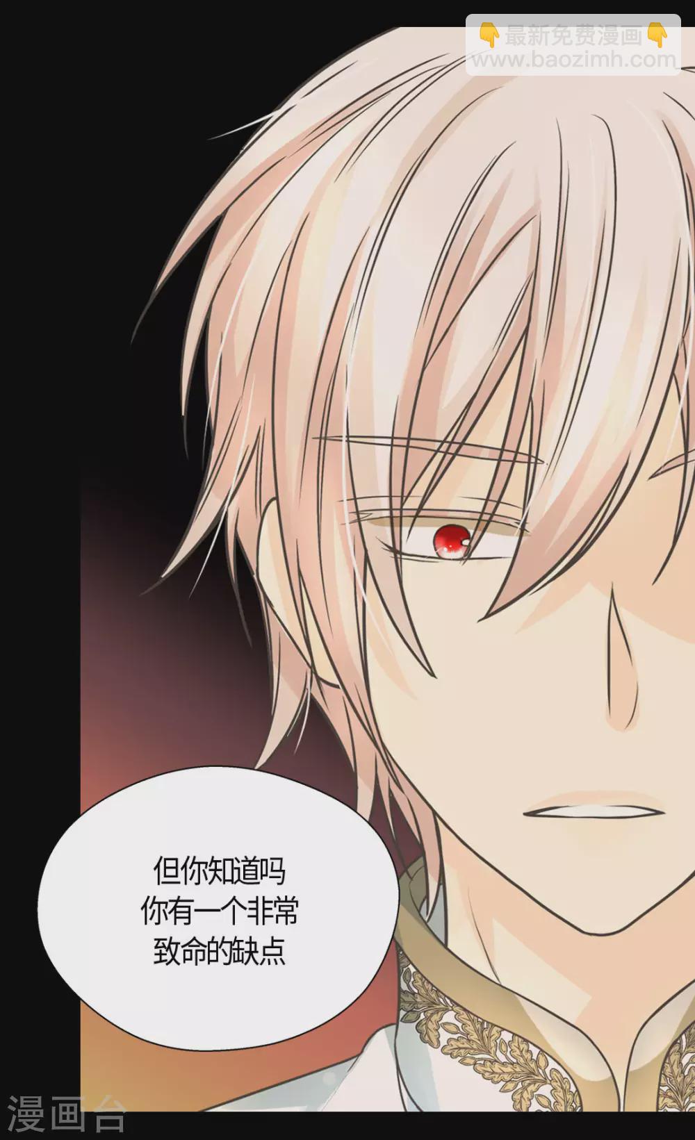 🍹皇帝的独生女 第413话 皇帝和宰相，凯特尔和费尔德 第22页