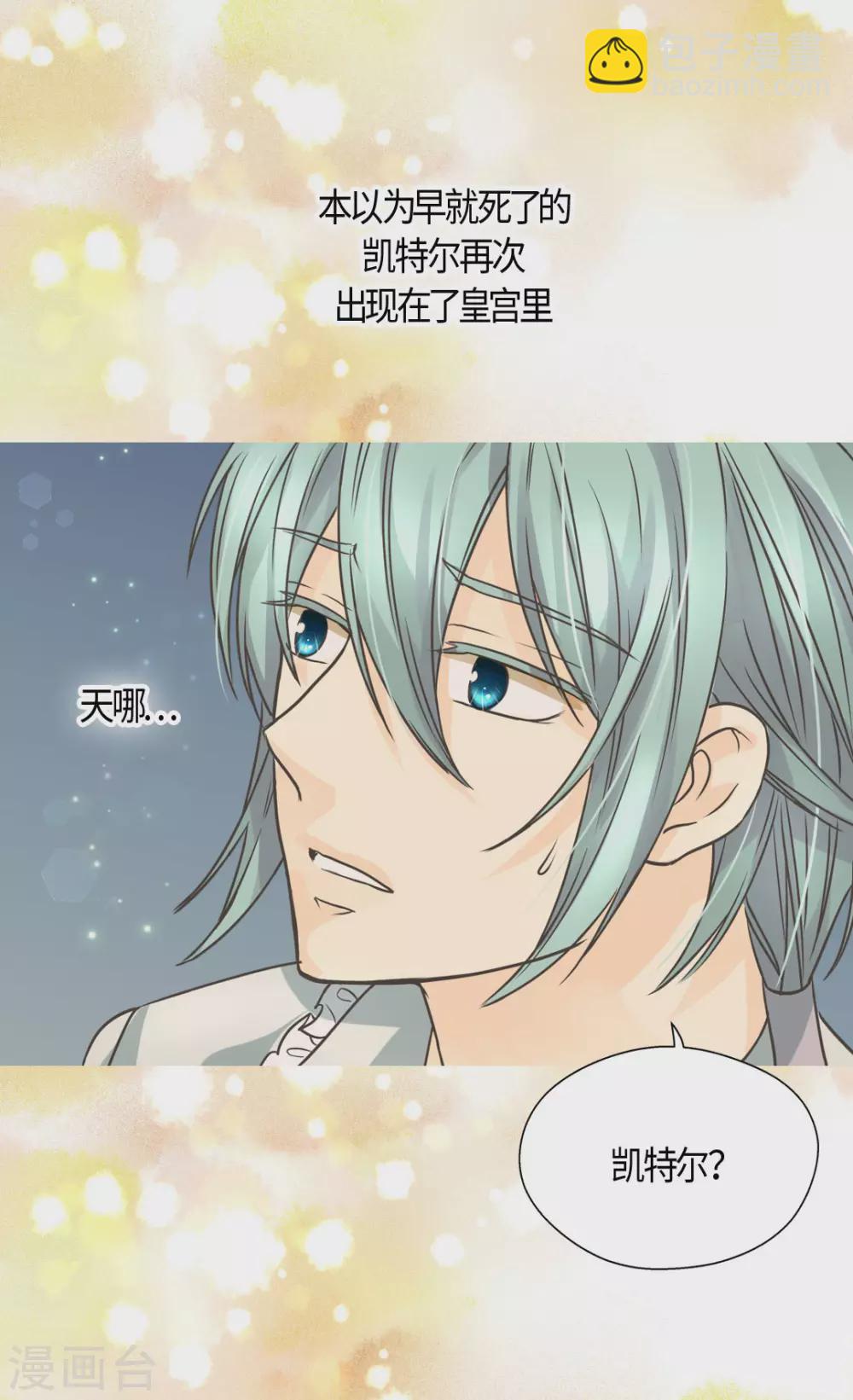 🍹皇帝的独生女 第413话 皇帝和宰相，凯特尔和费尔德 第4页