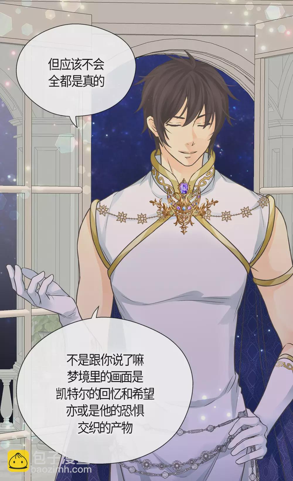 🍹皇帝的独生女 第427话 丹兰斯坦的回复 第13页