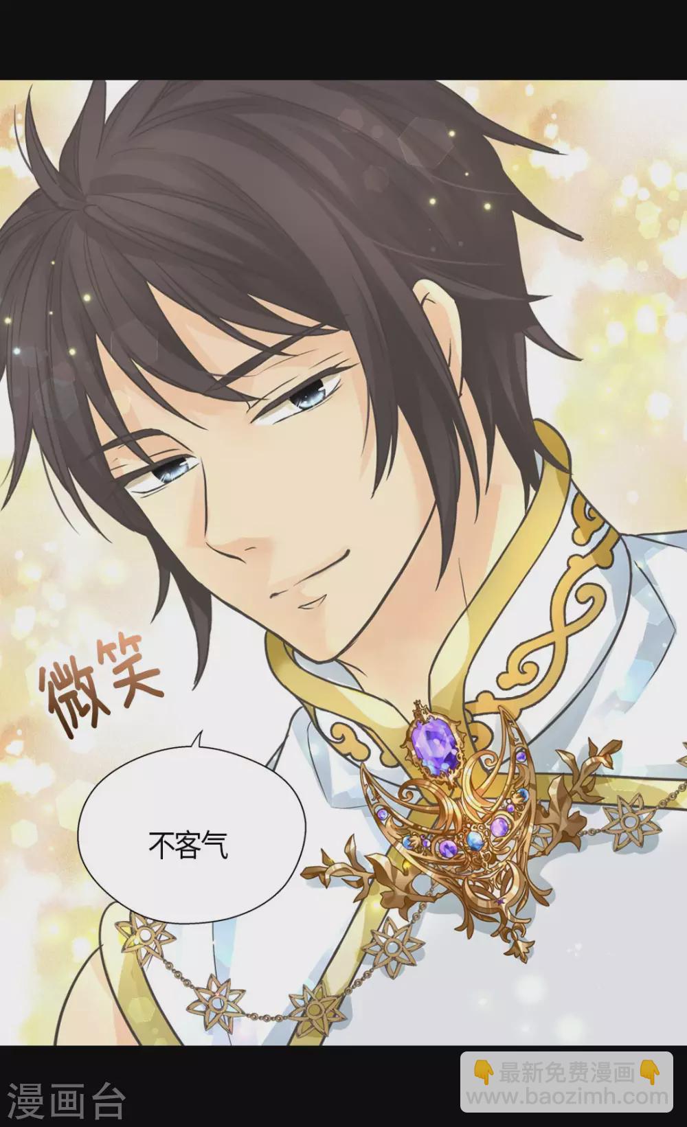 🍹皇帝的独生女 第427话 丹兰斯坦的回复 第29页