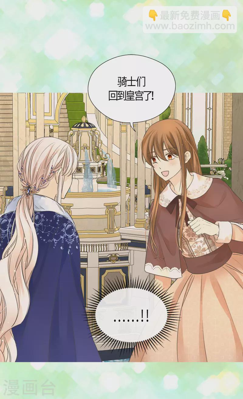 🍹皇帝的独生女 第439话 回来了，阿西西骑士 第19页
