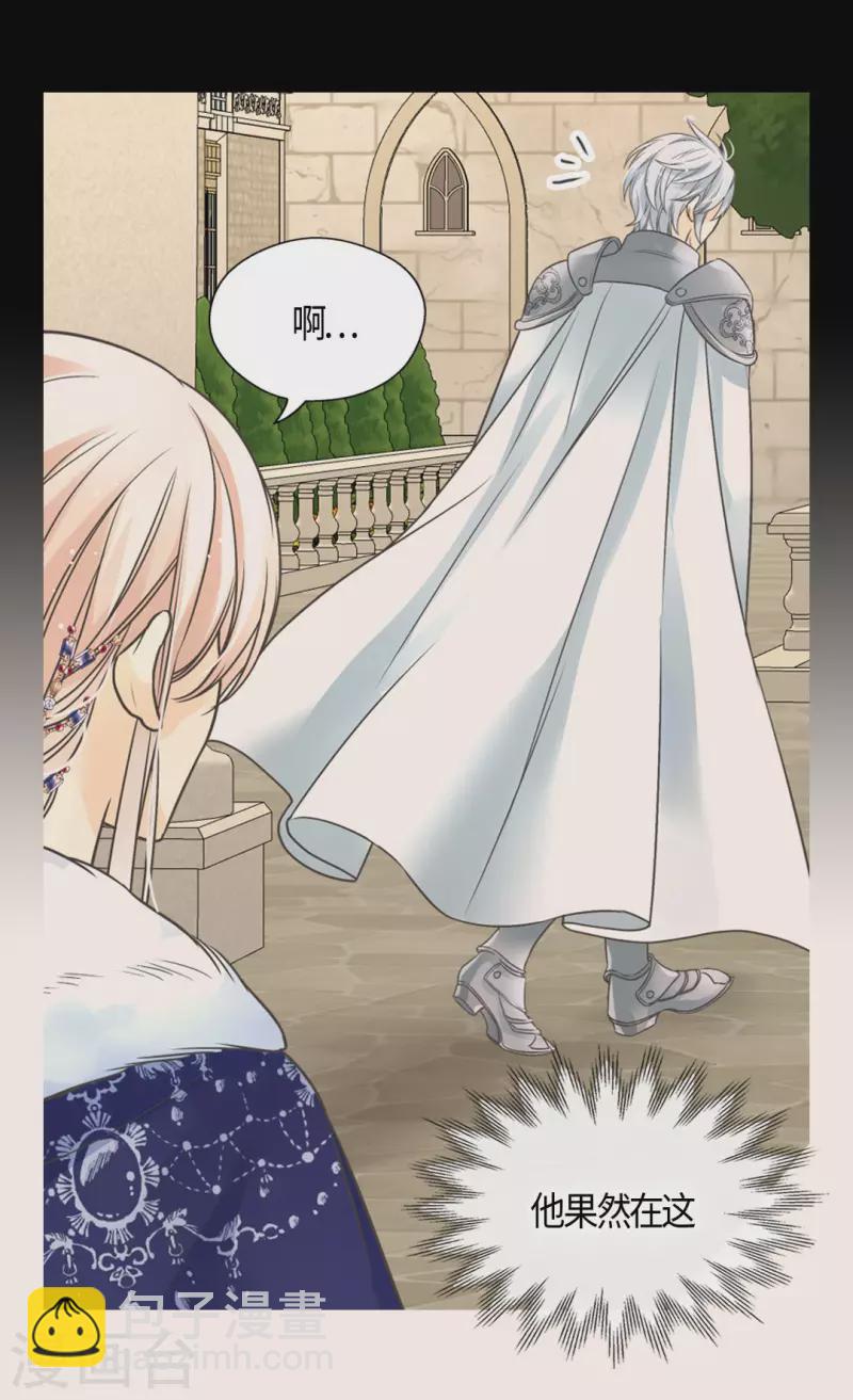 🍹皇帝的独生女 第439话 回来了，阿西西骑士 第23页