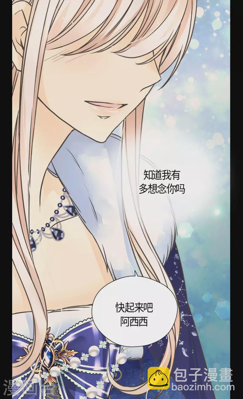 🍹皇帝的独生女 第439话 回来了，阿西西骑士 第28页