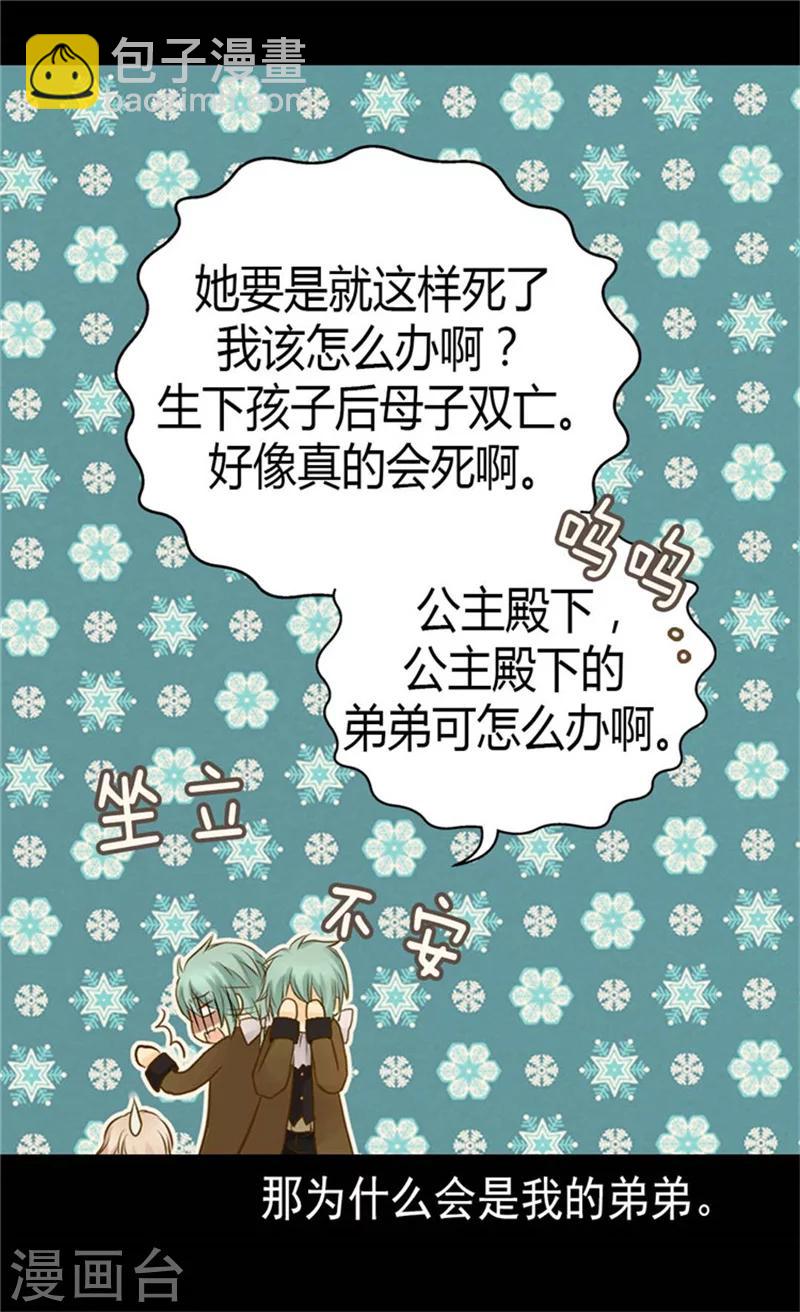 🍹皇帝的独生女 第83话 喜得双胞胎 第5页