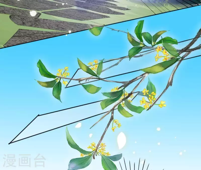 第36话 姻缘花(1/2)-第36话