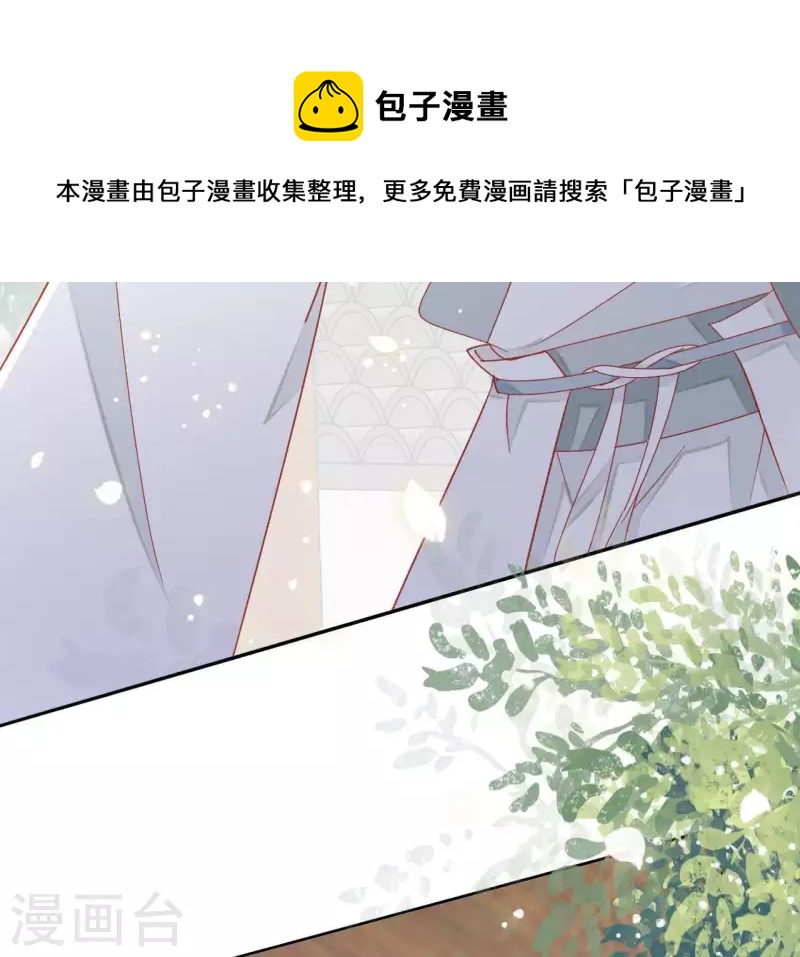 第38话 暖意(1/2)-第38话