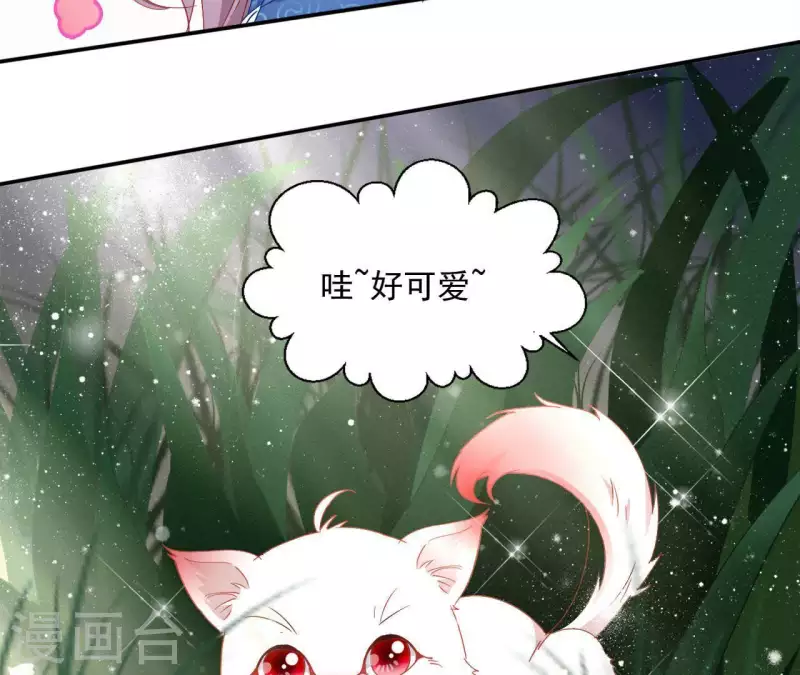 第40话 提亲(1/2)-第40话