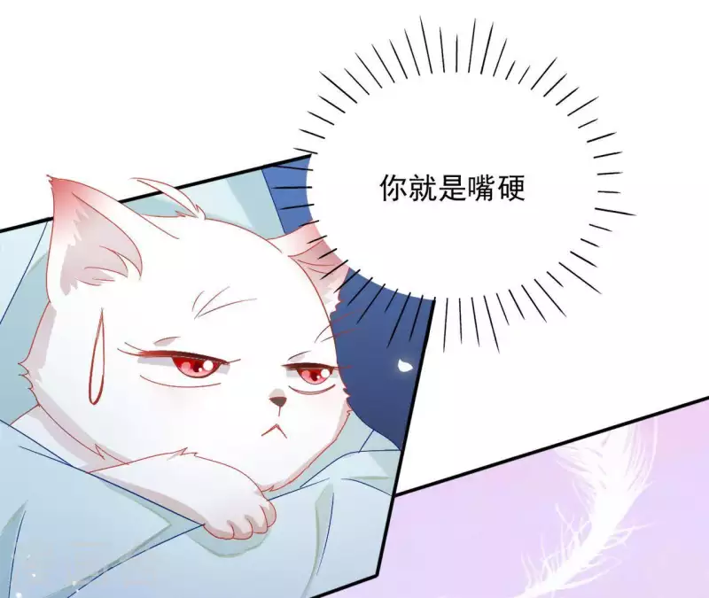 第40话 提亲(1/2)-第40话
