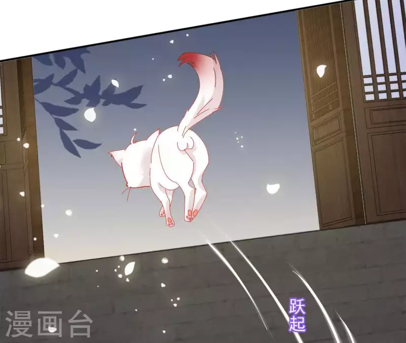 第40话 提亲(1/2)-第40话
