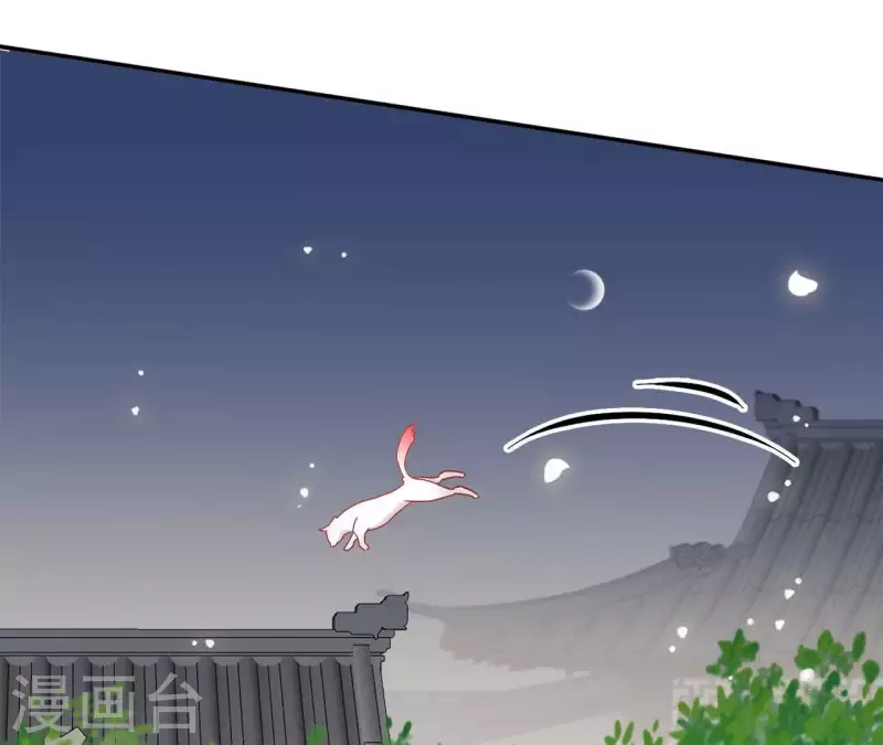 第40话 提亲(1/2)-第40话