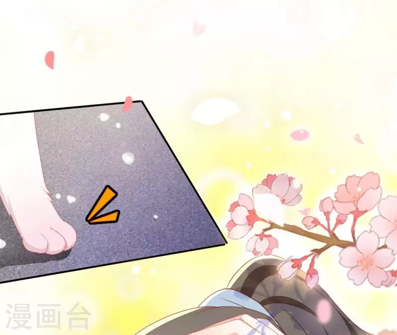 第40话 提亲(1/2)-第40话