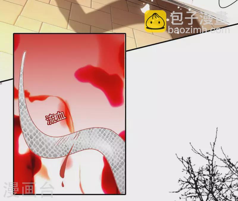 第48话 白衣少年(1/2)-第48话