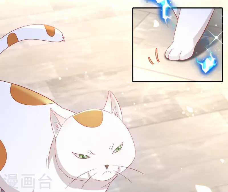 第86话 萧北冥被逼退婚(1/2)-第86话
