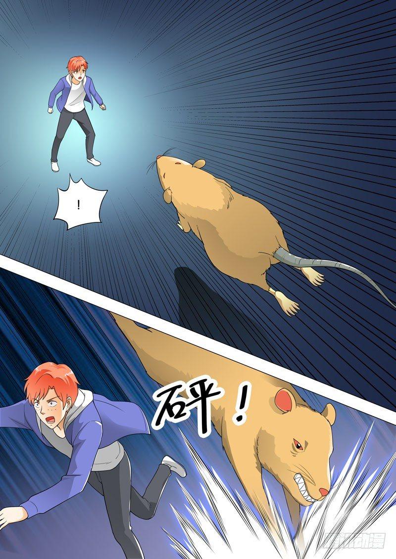 🍹荒野小屋 80-辐射区寻宝 第10页