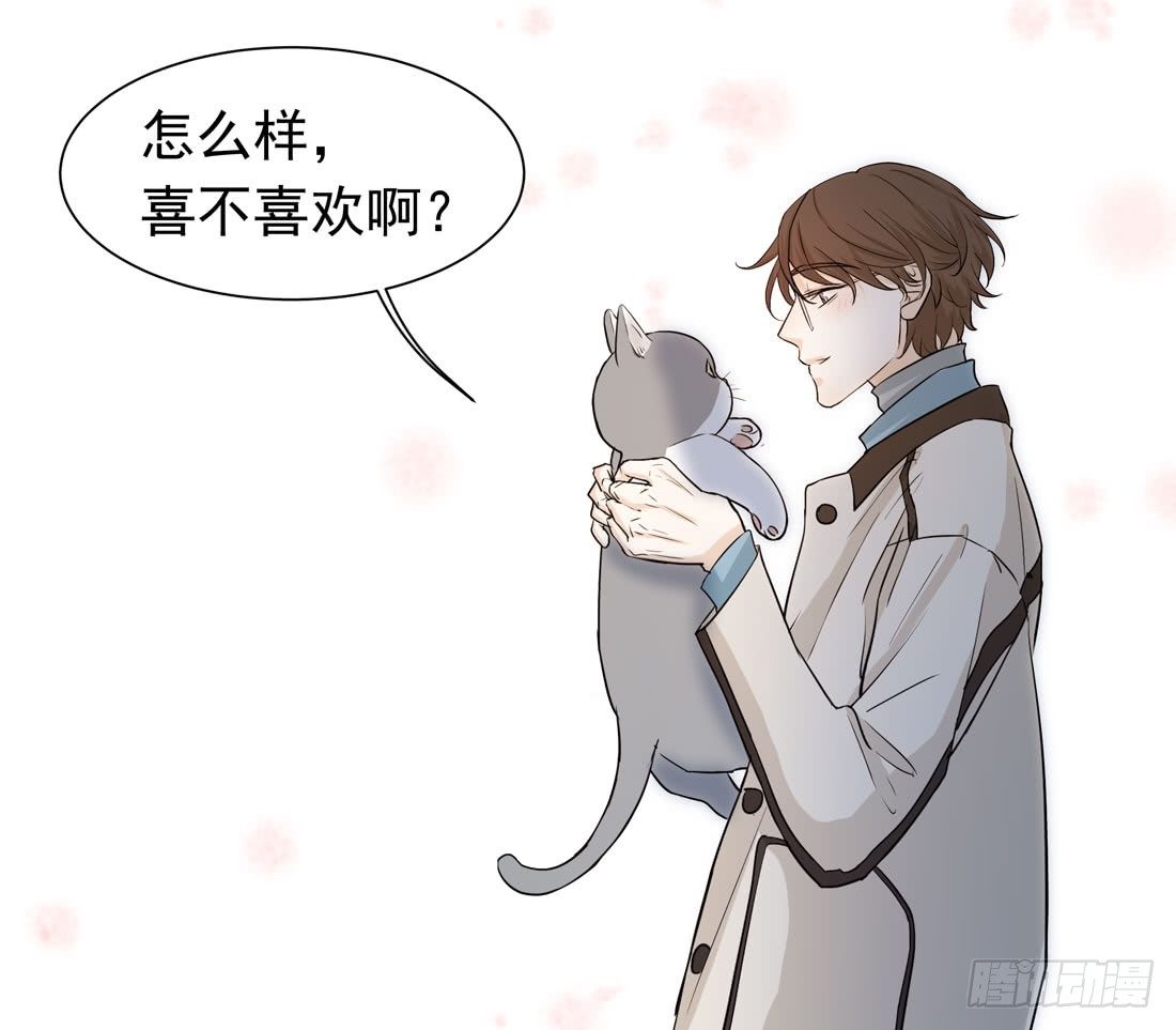 猫的新家(1/2)-第16话