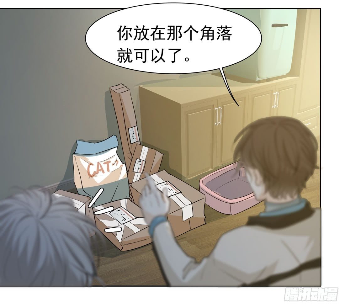 猫的新家(1/2)-第16话