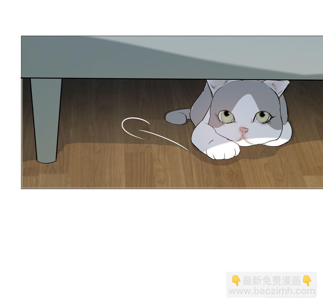 猫的新家(1/2)-第16话
