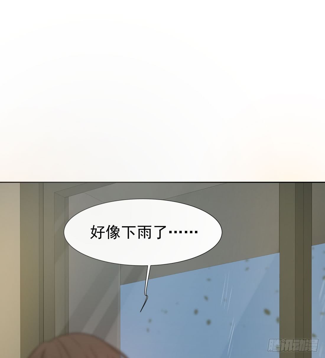 猫的新家(1/2)-第16话