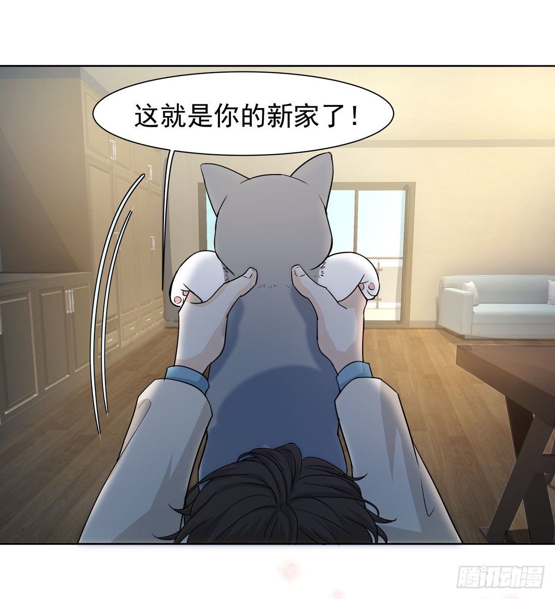 猫的新家(1/2)-第16话