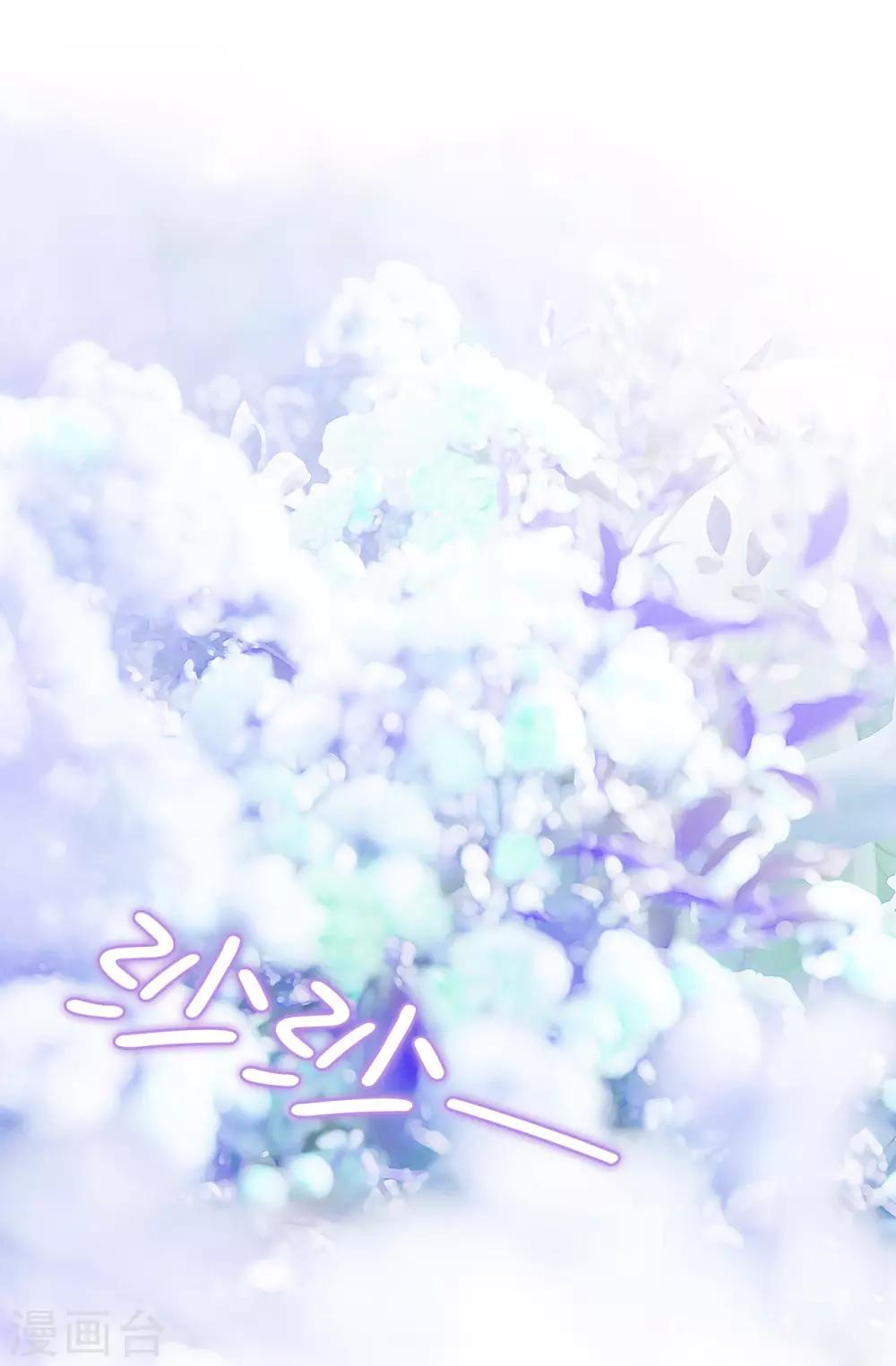 第37话 好美的花海-第38话